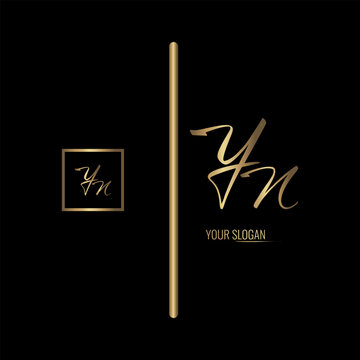 Luxury stylish YN letter vector logo design. Typography Stylish logo design.
