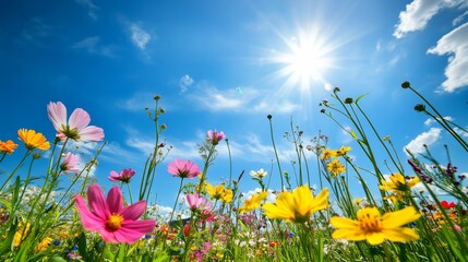 Aufkleber - A field of wildflowers in various colors under a bright sunny sky, wide-angle shot, Nature's palette style