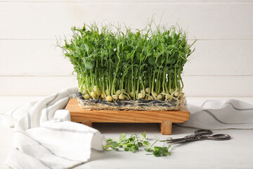 Wall Mural - Board with fresh micro green sprouts, scissors and napkin on light wooden table