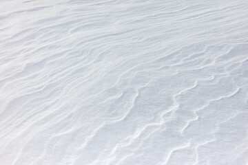 Wall Mural - The snow is white and the ground is covered in it