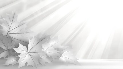 Poster - A minimalist design featuring white leaves and soft light rays, evoking tranquility.