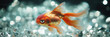 © Matija - Majestic Goldfish Amidst Sparkling Crystals