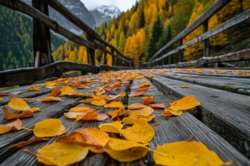 Poster - A scenic wooden bridge covered with golden and orange leaves beneath a canopy of autumn trees, offering a glimpse into nature's inherent beauty and calmness