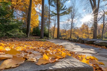 Poster - A tranquil scene with autumn leaves covering a sunlit stone path in a forest, surrounded by tall trees and vibrant fall colors under a bright blue sky.