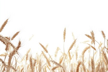 Naklejka na meble barley