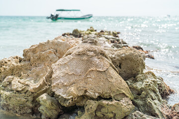rocks in the see with a boat on the background.