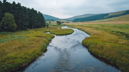 Poster - A river with a green grassy bank