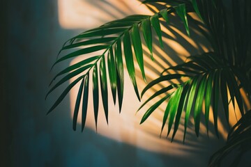 Poster - Sunlight filters through lush tropical palm leaves, casting dynamic shadows and evoking a sense of warmth and tranquility in a natural setting.