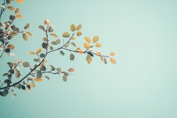 Aufkleber - A slender branch extends with delicate leaves against a soft, pastel blue background, offering a sense of tranquility and natural beauty in a minimalist style.