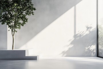 Poster - A bright room with abundant sunlight streaming through, highlighting a green tree in the corner, conveying freshness and openness in modern minimalist architecture.