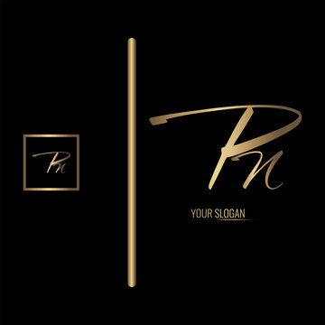 Luxury stylish PN letter vector logo design. Typography Stylish logo design.
