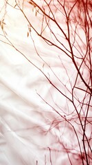 Aufkleber - delicate branches silhouette natural setting abstract photography minimalist style soft color palett