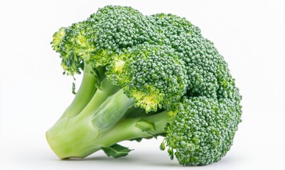 Poster - A large green broccoli head