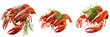 © Perception.TS - A trio of vibrant red lobsters garnished with herbs, showcasing their distinct claws and shell textures.
