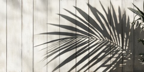 Aufkleber - A backdrop featuring white wooden panels is accentuated by the shadow of a tropical leaf, creating a striking visual contrast with natures elements prominently highlighted.