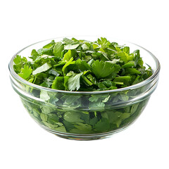 Wall Mural - Front view of culantro in a small glass bowl isolated on a white transparent background