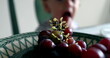 © Marco - Child hand grabbing grape fruit. Toddler boy picking grapes from plate