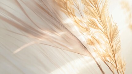 Aufkleber - A serene composition of delicate, golden plant elements against a soft, light background.