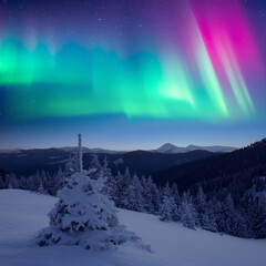 Wall Mural - fairy christmas nightscape with snowy fir-tree and multicolored polar lights in starry sky. incredib