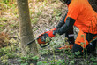 © Fabio Principe - Man holding a chainsaw and cut trees. Lumberjack at work wears orange personal protective equipment. Gardener working outdoor in the forest. Security professionalism occupation forestry worker concept