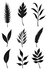 Poster - Collection of tropical leaves in black and white for a creative and minimalist design featuring natural backgrounds._00002_