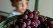 © Marco - Plate of grapes in the foreground with child in background