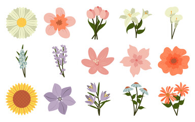 Simple Flowers Illustration Pack