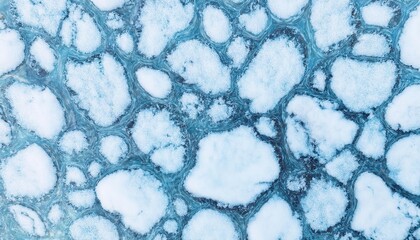 Poster - Intricate Frozen Blue Ice Crystals Texture. Abstract Frozen Web of Natural Ice Formation, Perfect for Winter Design Concepts, Snow Themed Decor, and Cold Weather Art Inspiration
