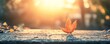 © HISTOCK - Single dry leaf standing on a concrete surface at sunset during autumn