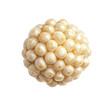 © SuperPixel Inc - Extreme top view of a perfectly beautiful looking single pearl millet grain isolated on a white transparent background