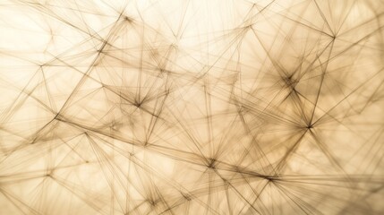 Fototapete - Abstract web of interconnected lines creating a soft, ethereal background.