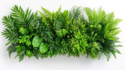 Sticker - Lush green tropical foliage arrangement on white background.