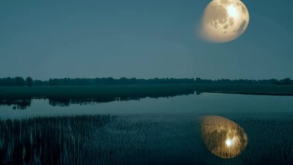 Fototapete - Beautiful moonlit reflection over a tranquil marsh at dusk creates a serene atmosphere