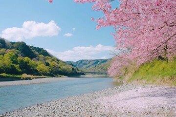 Sticker - Beautiful and cute Kawazu Zakura Sakura cherry blossoms against blue sky, Kawazu River, Shizuoka, Japan. Wallpaper background 