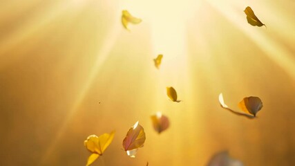 Poster - Golden autumn leaves gently falling in warm sunlight over a serene landscape
