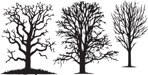 Detail and Natural Tree Silhouette Illustration 