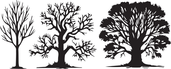 Detail and Natural Tree Silhouette Illustration 
