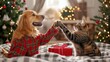 © Nutty - Cheerful Dog and Playful Cat Celebrating Christmas in Festive Holiday Decor
