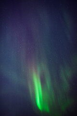 aurora borealis, polar lights with milky way stars.