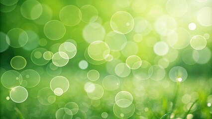 Aufkleber - Abstract Green Bokeh Background with Soft, Circular Lights and a Hint of Grass