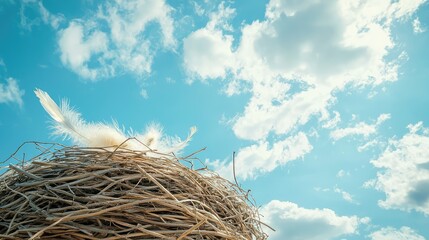 Wall Mural - Serene Bird's Nest Under a Bright Blue Sky with Clouds and Soft Feather, Capturing Nature's Essence in a Peaceful Environment