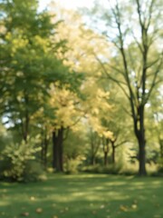 Wall Mural - Soft-focus park scene, blurred trees and foliage, environment, outdoors, design