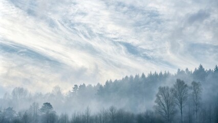 Poster - A misty morning forest shrouded in fog with wispy clouds creating a tranquil and serene atmosphere
