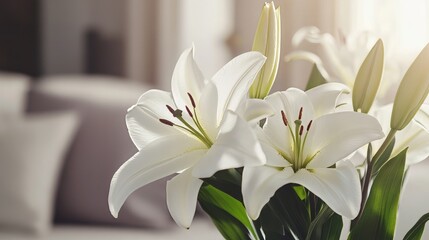 Poster - Elegant arrangement of white lilies in a contemporary loft interior, close-up shot, Modern style