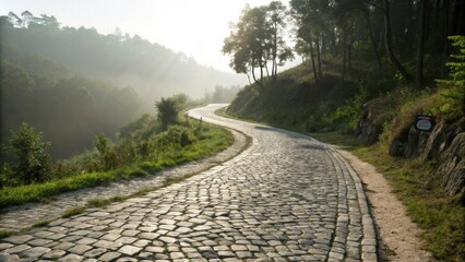 Aufkleber - A winding cobblestone road through a misty forest, the morning sun illuminating the path ahead
