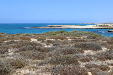 Wall Mural - The Mediterranean coast in northern Israel