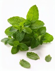 Fresh mint leaves, vibrant green, isolated on white background.