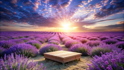 Aufkleber - A wooden platform nestled amongst a field of lavender, bathed in the golden light of a breathtaking sunset.
