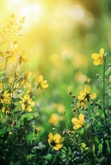 Wall Mural - Vibrant green foliage and blooming yellow flowers create a serene natural setting during a sunny afternoon in a