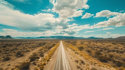 Wall Mural - Bird's eye view of a road trip journey across a vast desert landscape